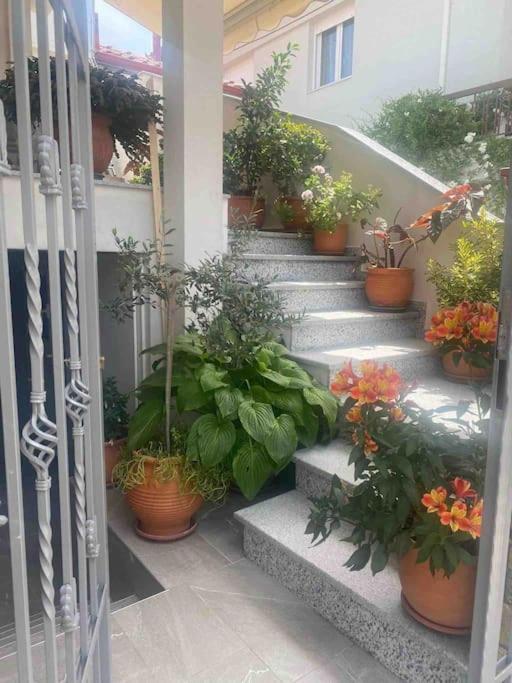 Lovely Apartment In Litoxoro Λιτόχωρο Εξωτερικό φωτογραφία